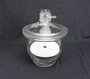 Pyrex Glass Desiccator With Porcelain Coors Perforated Plate and Gasket