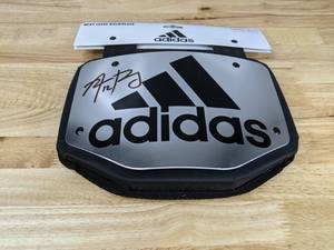 lot 6A image: New Aaron Rodgers Autographed Adidas Chrome Football Backplate NFL Green Bay Packers QB 
