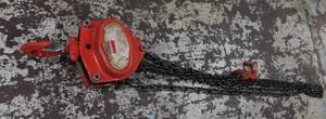 Dayton 12 Ton Chain Hoist