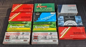 lot 81 image: (11) Boxes of Bulled Federal, Remington, Winchester, Ward