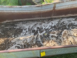 Flower planterCow Tank