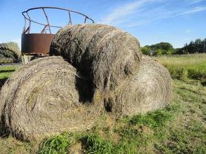 2 12 Bales of hay
