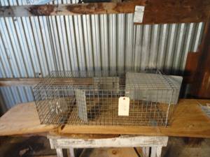 Wire Live Animal Trap