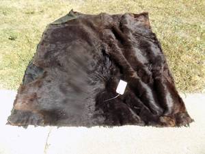 Bear Rug 4 x 5  Real Hide