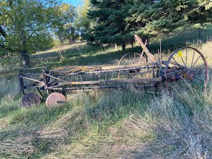 Hay Rake - Metal frame - Steel Wheels
