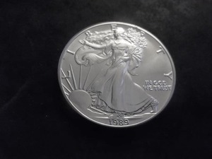 1989 Silver Eagle 1 Oz. .999 Fine