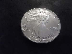 1991 Silver Eagle 1 Oz. .999 Fine