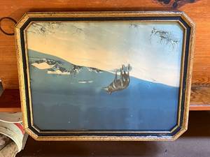 lot 93 image: Lone Wolf Framed Print