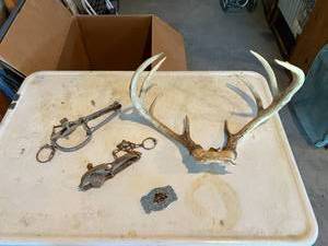lot 102 image: Antlers, Traps & Beltbuckle