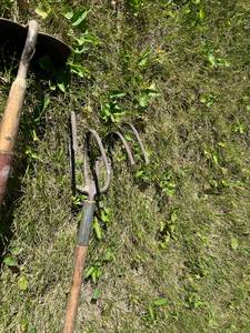 lot 38 image: Hoes, Drag Fork & Squeegee