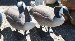 lot 235 image: (2) Large Goose Decoys  Full Bodies
