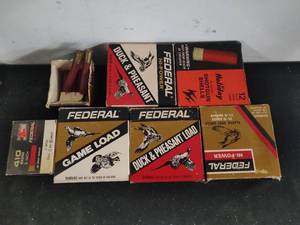 Collection Of Shotgun Shells