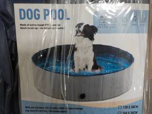 Large Dog Pool...