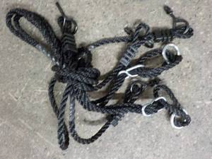 Dog Leashes...