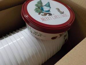 25 Plastic Tubs with Covers...