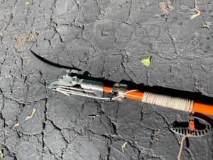 lot 70 image: Tree Trimmer With A 14 Foot Extension