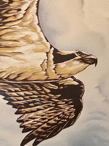 lot 344 image: Framed Print by Jim Collins Entitled Osprey in Flight