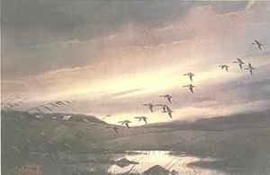 lot 91A image: Prarie Pothole Pintails Limited Edition Artists Proof Framed Art by Les C. Kouba