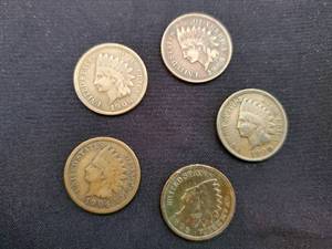 (5) U.S. Indian Head Pennies Lot