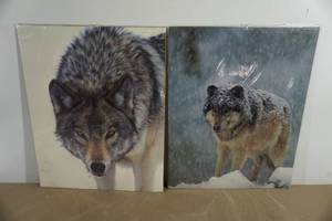 Wolf Posters - Timber WolfGrey Wolf