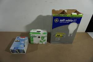 Assorted Light Bulbs