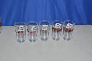 5 bud Dale Earnhardt JR glasses