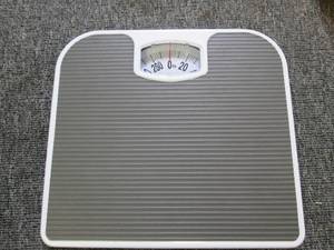 ms analog scale ...