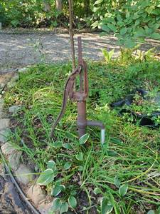 lot 37 image: Vintage Well Pump