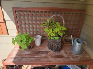 lot 100 image: Rustic Potters Bench & Supplies