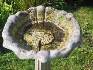 lot 40 image: Traditional Concrete Garden Birdbath