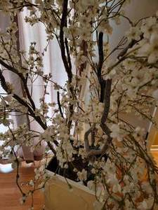 lot 119 image: Silk Cherry Blossom Tree with Planter