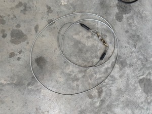 Dog Cable