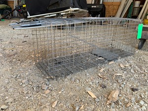Live Animal Trap
