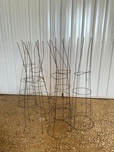 Tomato Cages