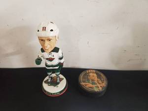 Collection Of Minnesota Wild Items