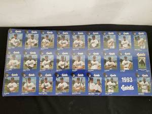 1993 St. Paul Saints Team Poster