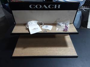 Coach Display Shelf (15 Wide x 10 Tall) With Butterfly Pin & New Rainbow Charm