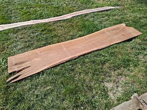 Live Edge, Kiln Dried BLACK WALNUT Slab - Overall about 105 x 20-12 x 1