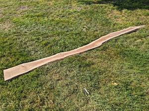 Live Edge, Kiln Dried Slab - Overall about 147 x 12 x 1