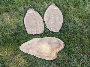 (3) Live Edge Slices, Dried - Largest is about 33 x 15 x 1