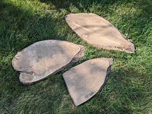 (3) Live Edge Slices, Dried - Largest is about 30 x 16 x 1