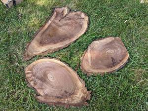 (3) Live Edge Slices, Dried - Largest is about 38 x 20 x 1