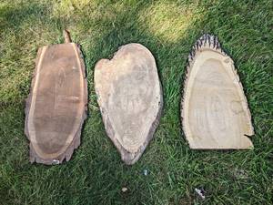 (3) Live Edge BLACK WALNUT and ASH Slices, Dried - Largest is about 30 x 15 x 1