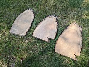 (3) Live Edge ASH Slices, Dried - Largest is about 26 x 15 x 1