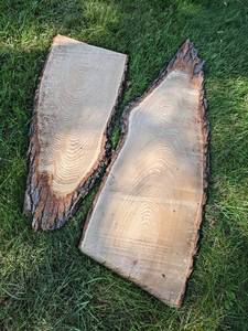 (2) Live Edge OAK Slices, Dried - Largest is about 60 x 18 x 1