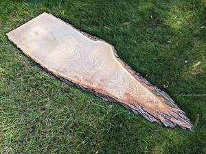Live Edge OAK Slice, Dried - Measures is about 71 x 20 x 1