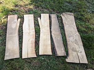 (5) Live Edge PINE Slabs, Dried - Largest is about 47 x 12 x 1