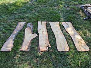 (5) Live Edge PINE Slabs, Dried - Largest is about 47 x 11-12 x 1