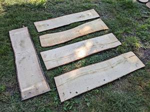(5) Live Edge PINE Slabs, Dried - Largest is about 47 x 12 x 1