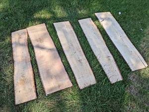 (5) Live Edge PINE Slabs, Dried - Largest is about 47 x 12 x 1
